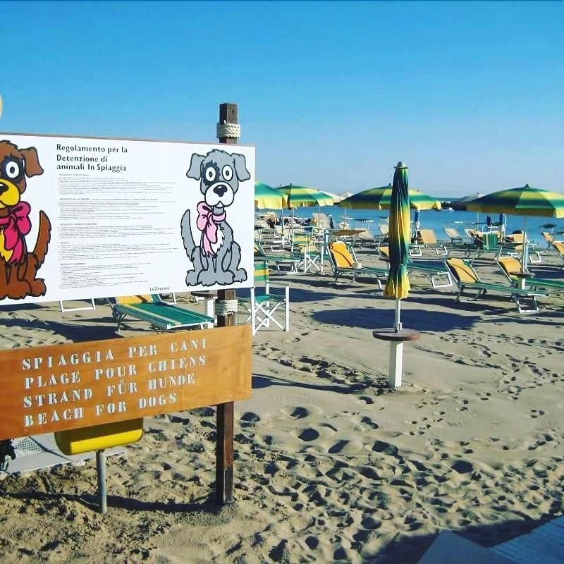Hotel Alsen Rimini Eksteriør billede